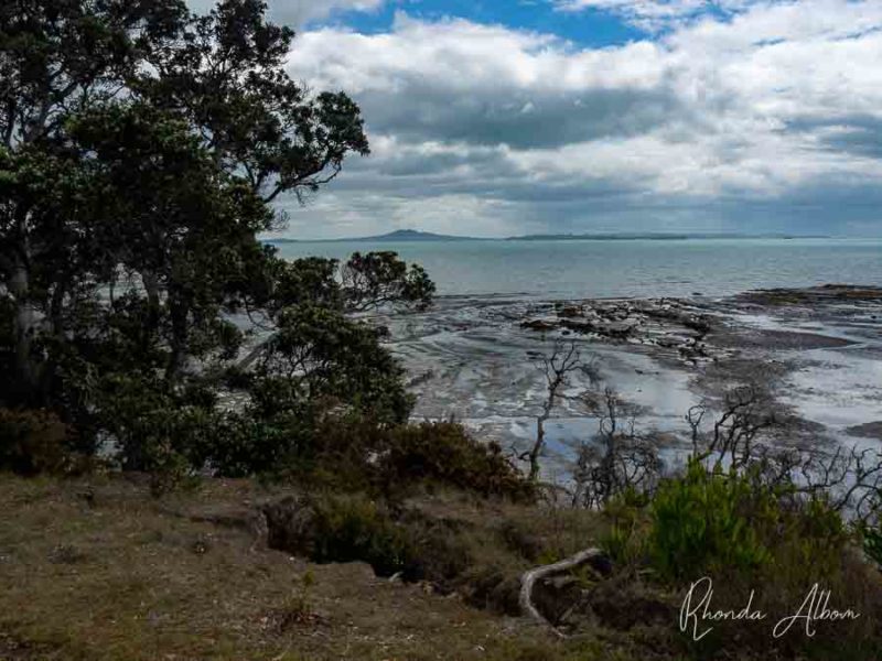 View of Rangaitoto from Omana Regional Park Beachlands- Maratai Walkway.