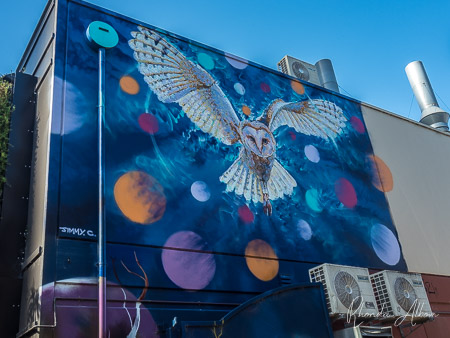 17 Fun Things to Do in Adelaide South Australia 13 Street art by Jimmy C