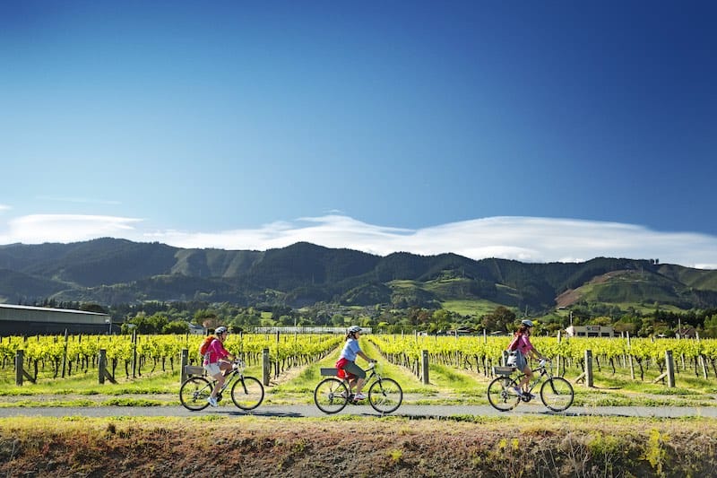 Getting Around New Zealand: Local Intel on Travel & Booking 11 Three people cycling past vineyards in Nelson New Zealand