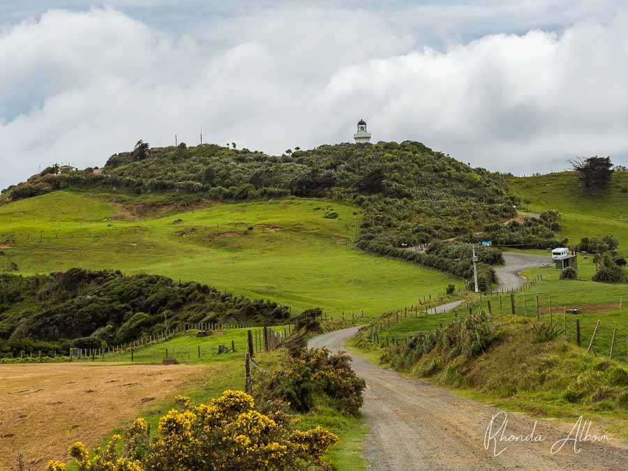 First views of the Manukau Heads lighthouse on the Awhitu Peninsula