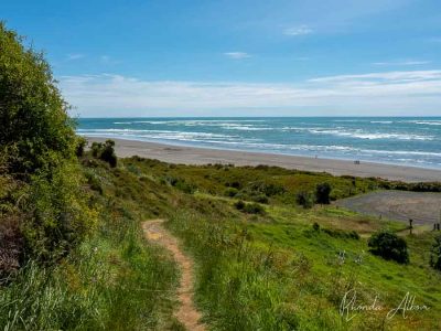 Hiking is one of the many things to do in Raglan New Zealand