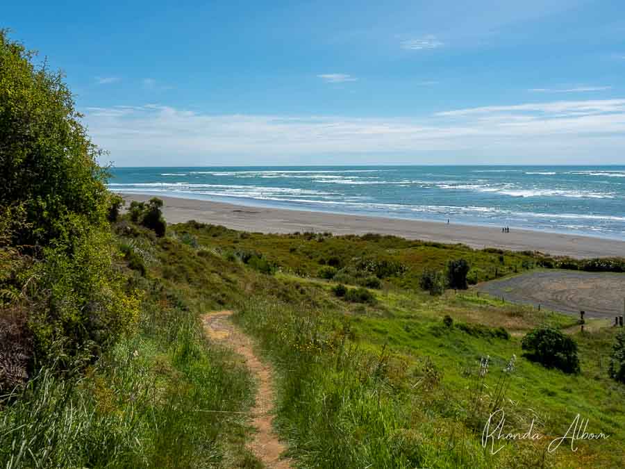 Raglan New Zealand Weather