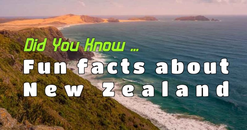 Interesting facts about New Zealand