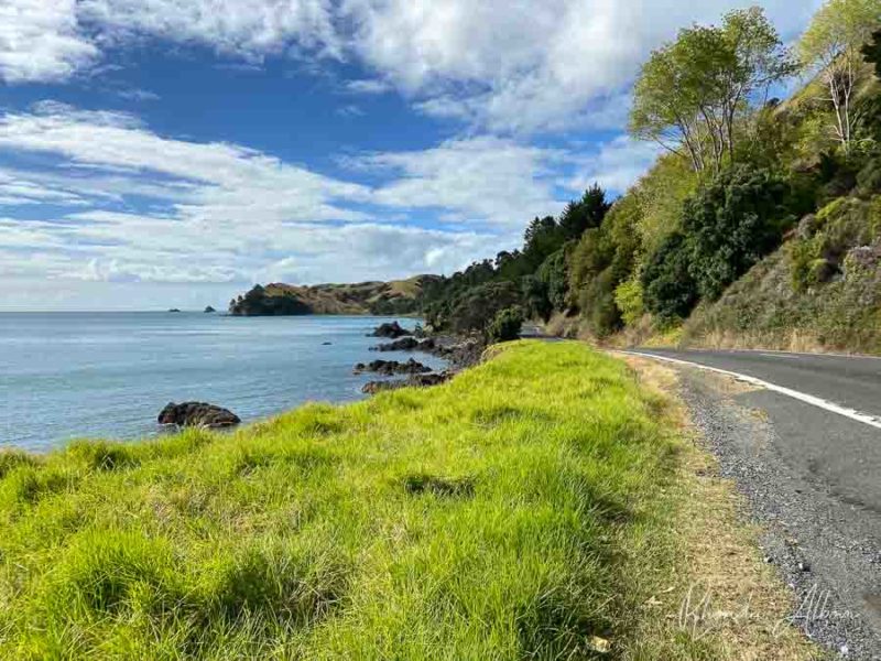 27 Things to Do in Coromandel - Road Trip Highlights 4 Road that parallels the sea through the town of Kereta