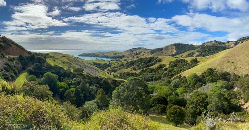 View between Kereta and Manaia in New Zealand