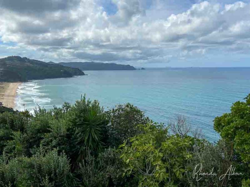 Ocean view from Mt Paku in Tairua