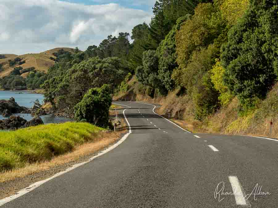 Coromandel Road Trip in New Zealand