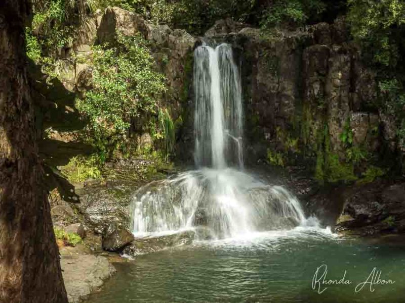 Waiau Falls on the 309 Road is one of the most beautiful things to do in Coromandel New Zealand