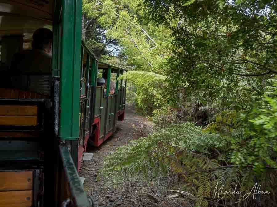 Driving Creek Railways in Coromandel Town