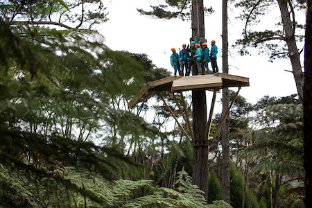 Group of people on the Zipline platform at Driving Creek Railroad
