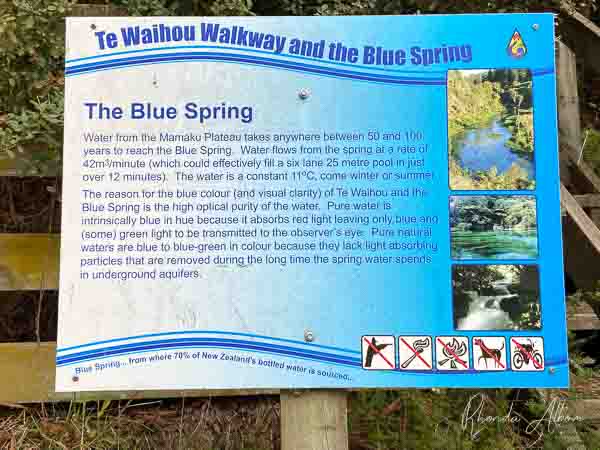 Blue Spring Putaruru: Crystal Clear Water at Te Waihou Walkway 2 Sign at Putaruru Blue Springs that explains where the water comes from.
