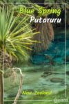Blue Spring Putaruru