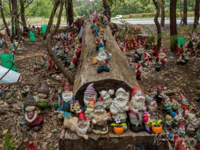 Lots of gnomes gathered on a fallen tree at Gnomesville in Western Australia