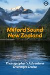 A catamaran at Freshwater Basin at Milford Sound, New Zealand