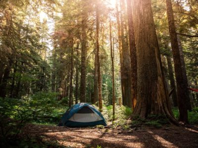 Camping among the tall trees in the USA