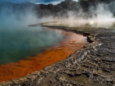 Classic image of vivid red and green colors and steam rising from the Champagne Pool at Wai-O-Tapu Rotorua , one of many unique things to do in New Zealand