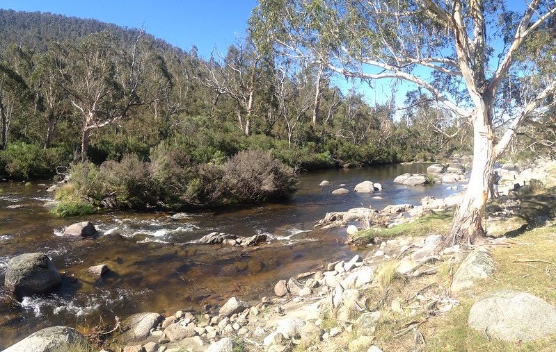 Thredbo River