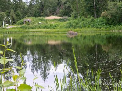 Trees reflecting in Lake Tiulana at the Alaska Native Heritage Center in Anchorage Alaska
