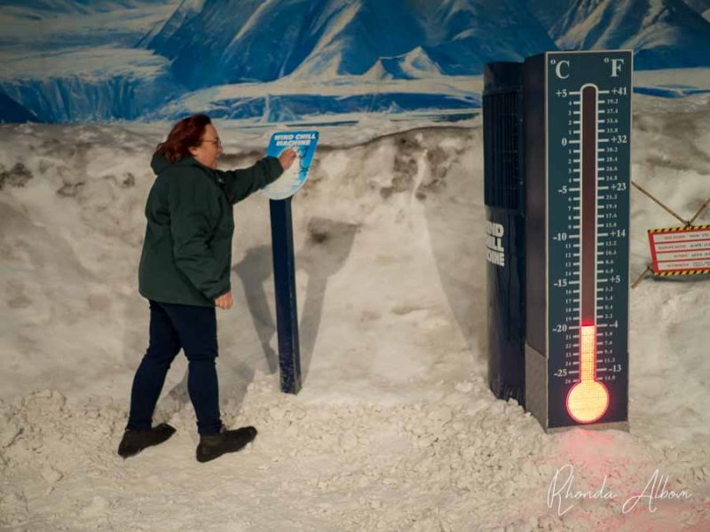 11 Fun Christchurch Cruise Port Ideas to Maximize Your One Day in Christchurch 2 In a snowy room inside Antarctic Centre in Christchurch