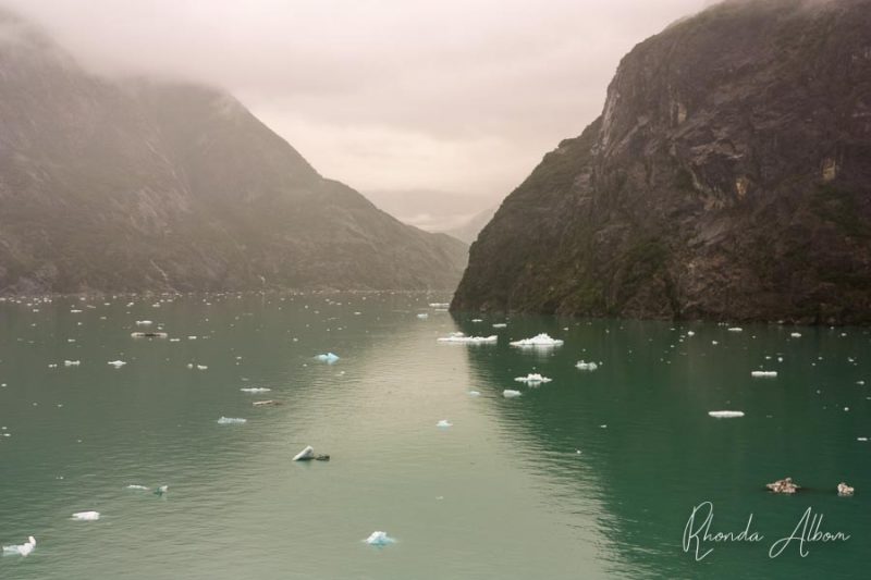 Entering Tracy Arm