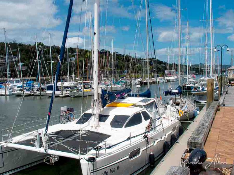Boats docked along the riverwalk in the Whangarei Town basin