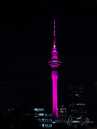 Sky Tower Activities: Five Ways to See the Views from the Top 15 Auckland Sky tower lit up pink
