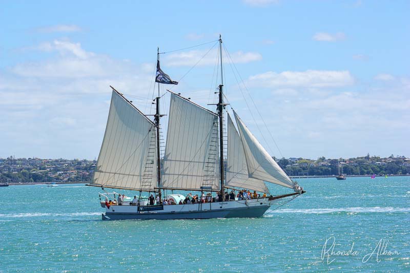 Ted Ashby, replica ketch-rigged deck scow sailing in Auckland New Zealand