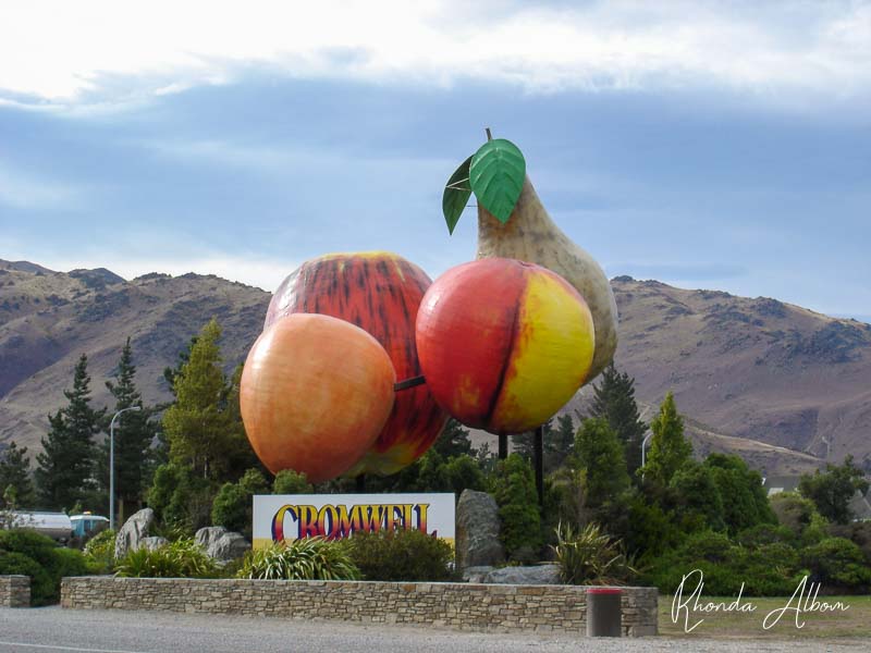 Giant fruit sculpture at the entrance to the town of  Cromwell along the direct route from Christchurch to Queenstown