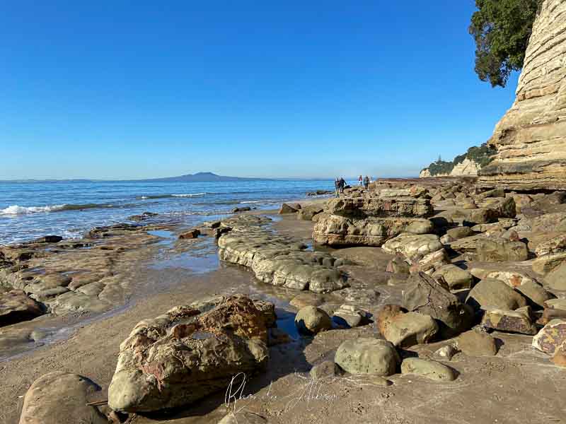 Coastal walk in Murrays Bay