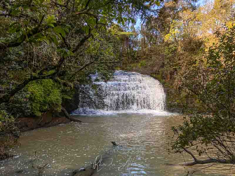 Lucas Creek Waterfall in Gills Reserve, Albany