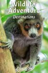 Great Wildlife Adventure Destinations