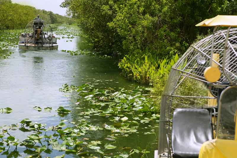 Airboat in Everglades Florida Big Cypress National Preserve, a great activity on a Miami day trip.