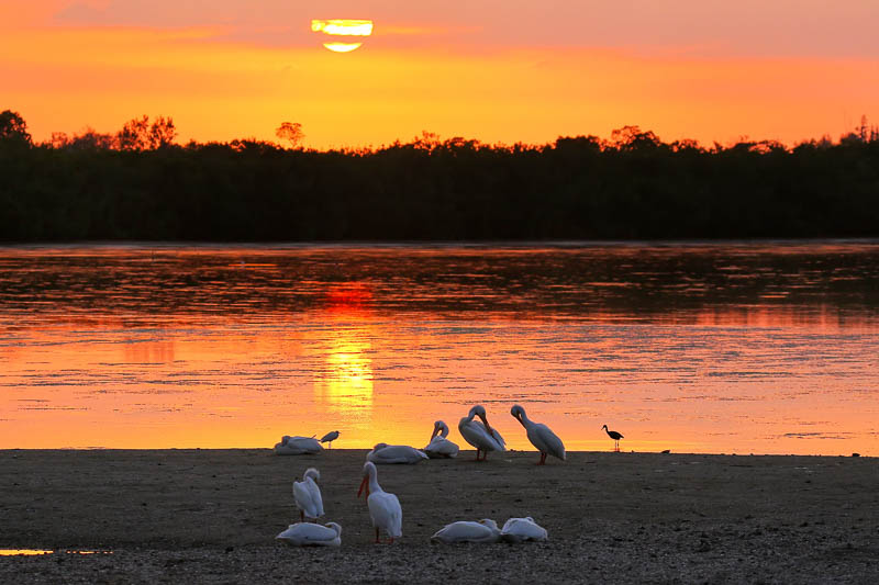 Sunset at Sanibel Island on the gulf coast of Florida
