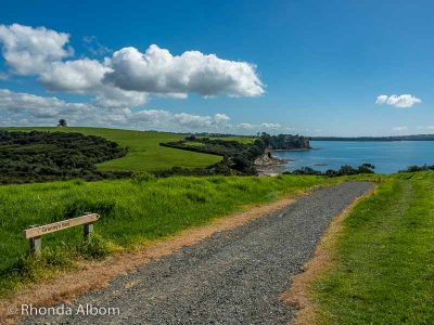 Overlooking Granny's Bay at Long Bay Regional Park,