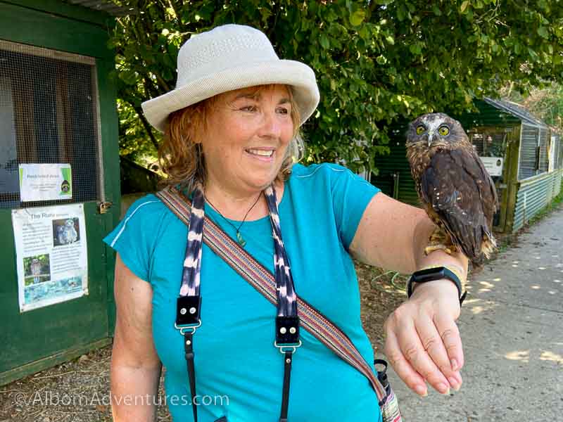 10 Surprising Things to Do in Hamilton NZ - Our Guide to Fun 9 Shaws Bird Park 4333 2
