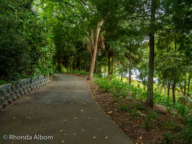 Waikato River 3160385