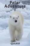 Polar Adventure