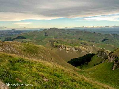 Lush green rolling hills dominate much of our drive from Napier to Wellington