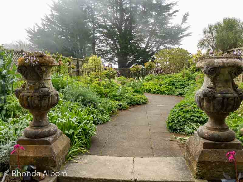 9 Best New Zealand Gardens - Relax in Botanic Bliss 12 Larnach Castle Gardens lg 200578