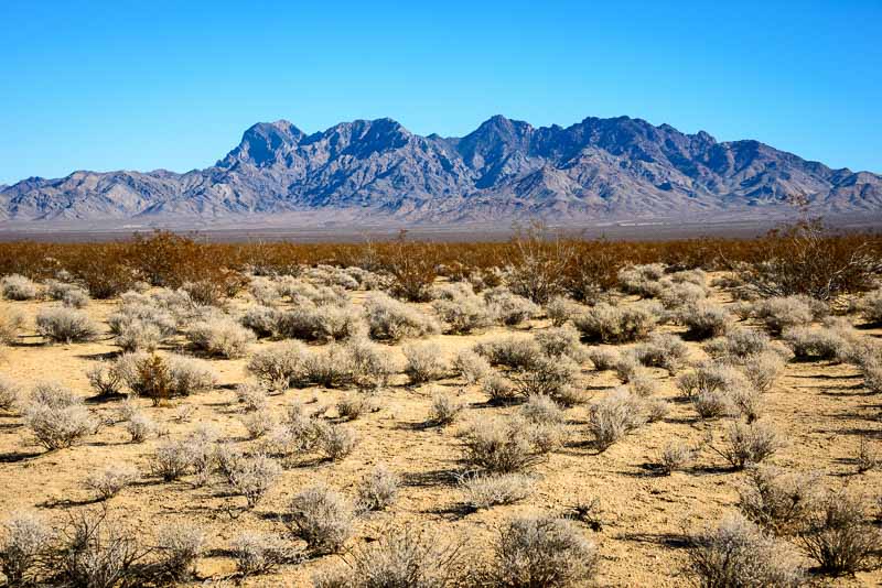 Mojave National Preserve