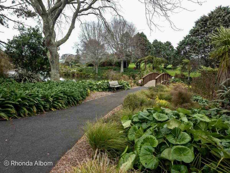 Walking path at the Auckland Botanic Gardens, one of the best New Zealand gardens