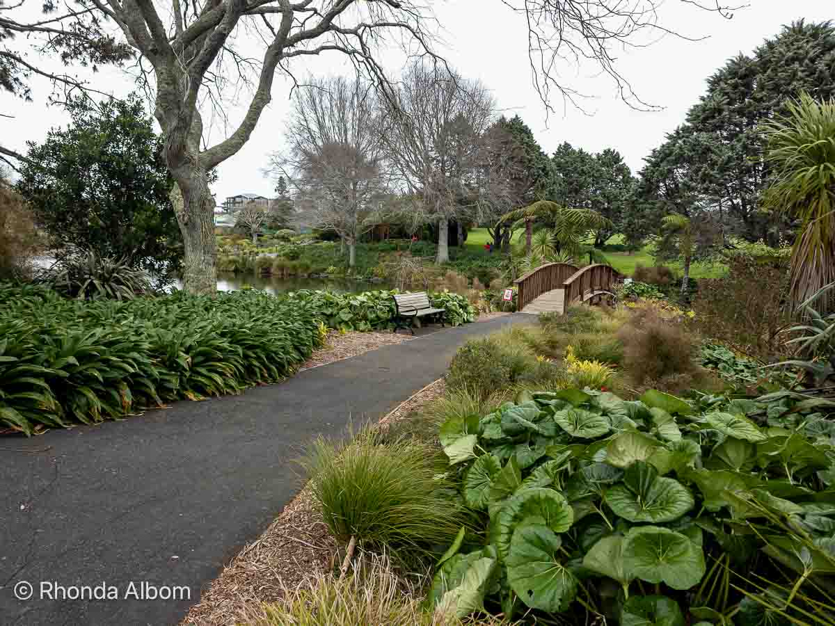 Walking path at the Auckland Botanic Gardens, one of the best New Zealand gardens