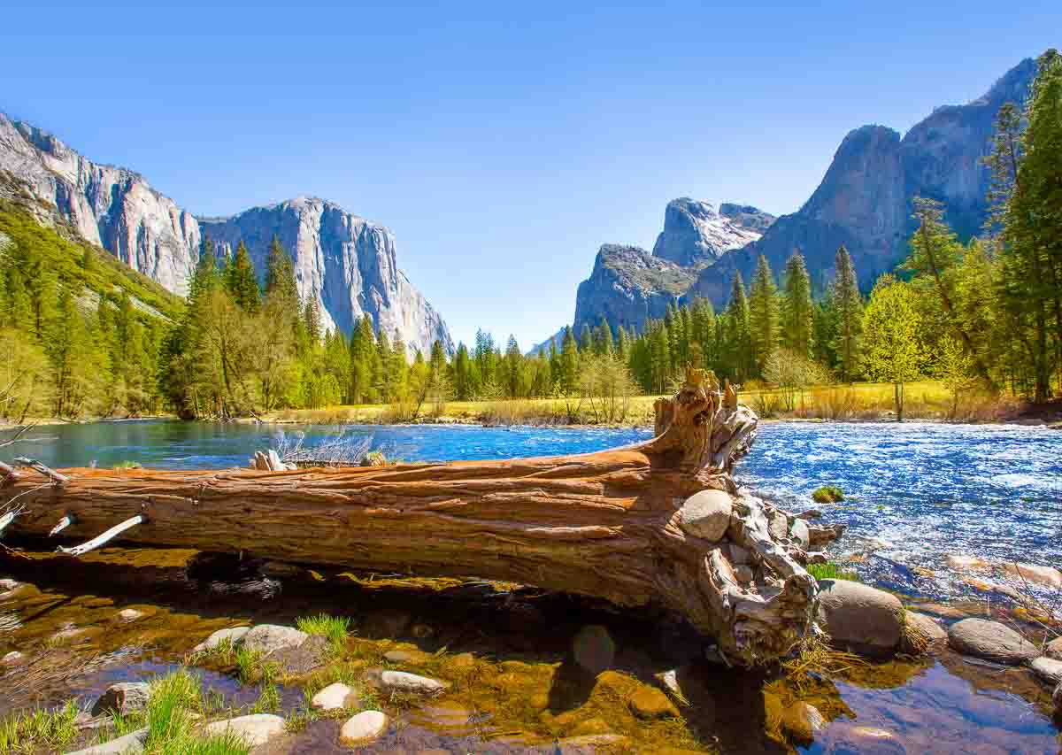 Exploring Parks Around the World