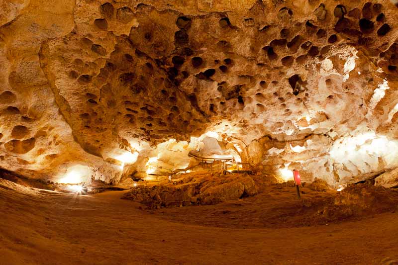 limestone wall inside one of the Naracoorte Caves