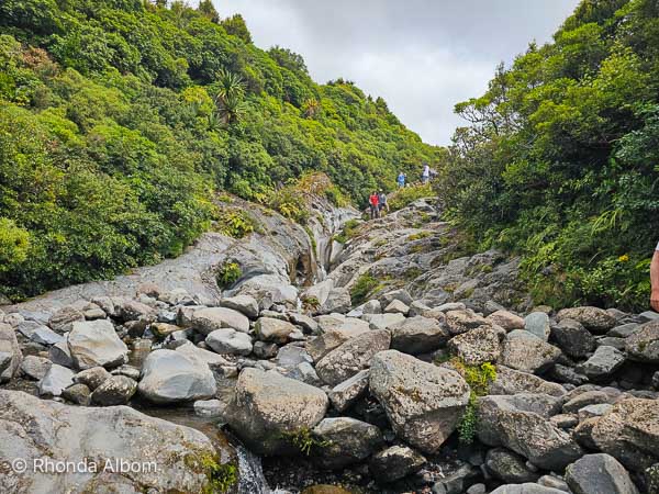 Wilkies Pool hike