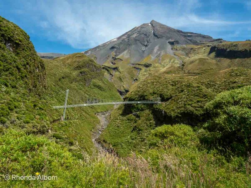 Swing bridge on Mt Taranaki