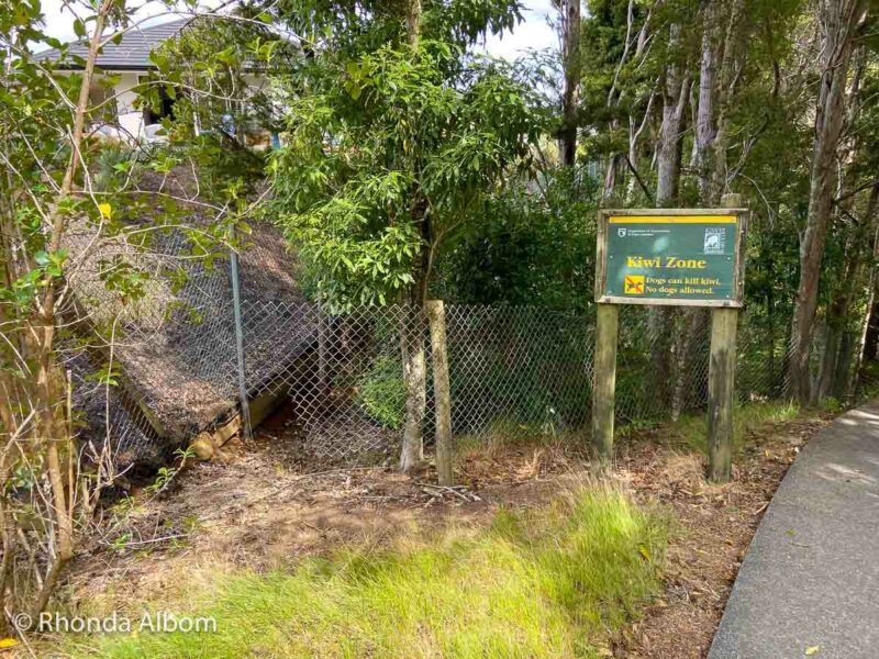 Kiwi Zone sign on path