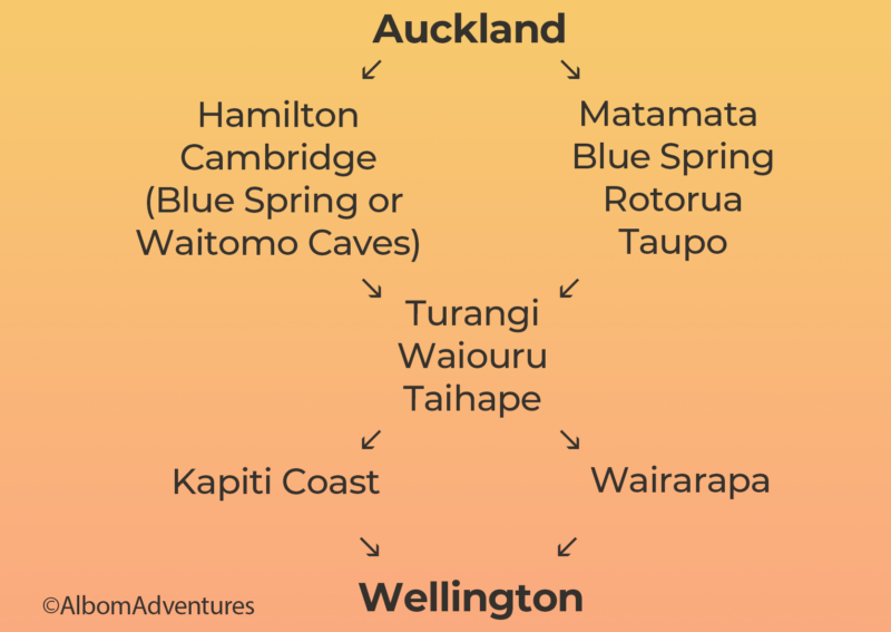 Auckland to Wellington road trip itinerary options