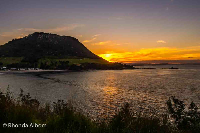 Mt Maunganui 4260150