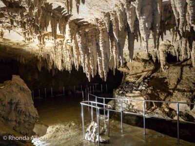 Inside Milky Way Glow Worm Cave at Waipu Caves Farm Park